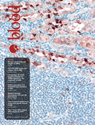 Volume 145, Issue 19 cover art