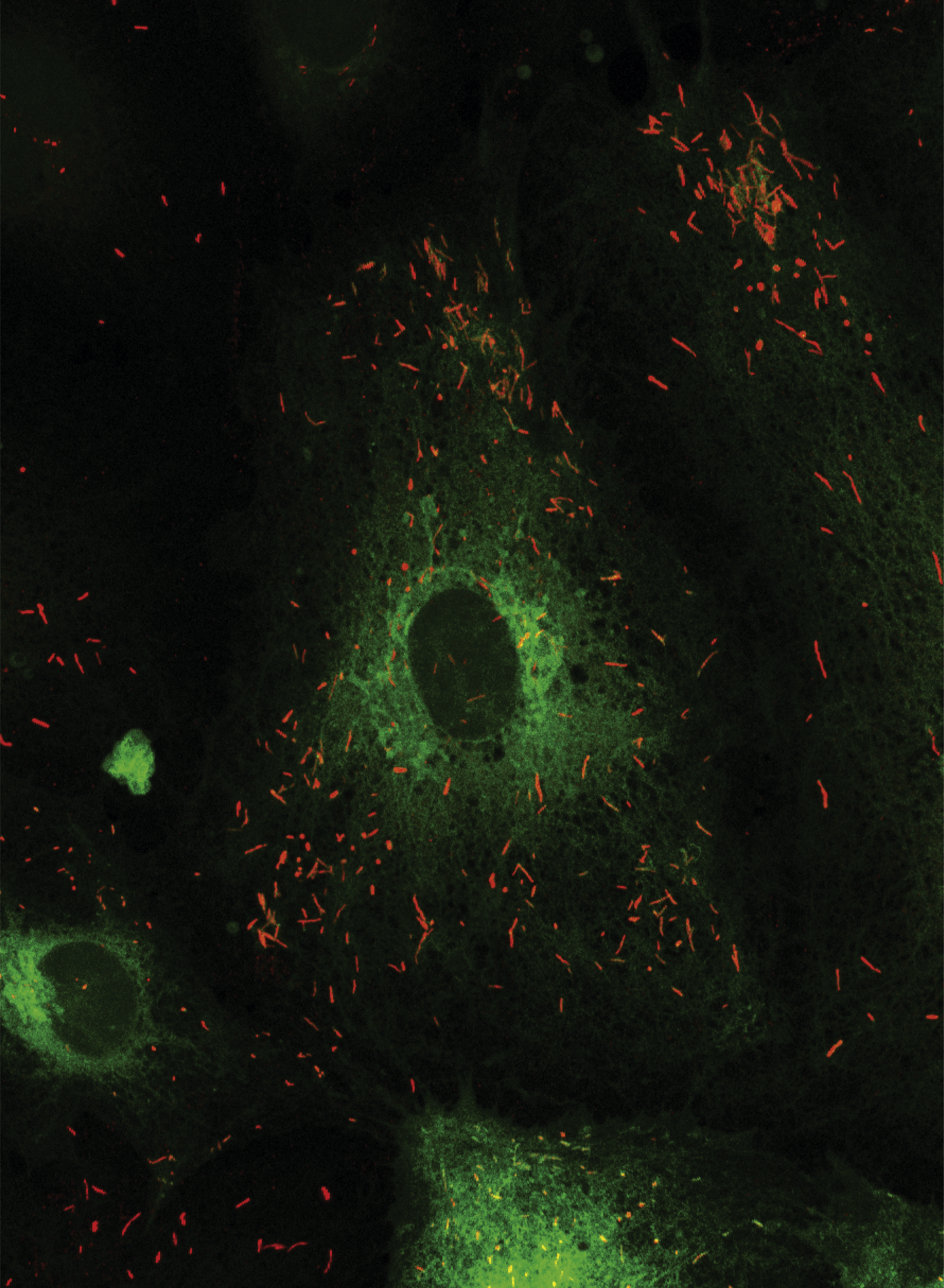 issue cover