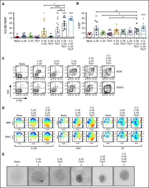 Figure 4. Surface expression of TSLPR, IL-17BR, and ST2 reveals different ILC2 subpopulations. ILC2s were stimulated with ECs or EC combinations, and surface expression of EC receptors was evaluated by flow cytometry. (A) Percentage of IMDM-cultured ILC2s that show double-positive expression for IL-17BR and TSLPR. (B) Percentage of IMDM-cultured ST2+ ILC2s. (C) Contour plots showing the percentage of cells in each gate for IL-17BR (x-axis) and TSLPR (y-axis), comparing IMDM and SFEM II. (D) viSNE plots, as analyzed in Cytobank, showing the population clustering for each receptor. Red indicates the highest expression and blue the lowest expression. (E) Photographs depicting ILC2s when stimulated with double or triple cytokine combinations, or the latter combination with the addition of IL-2 (phase contrast microscopy, original magnification ×100). Data are shown as mean ± SEM from 2 independent experiments, with n = 2 or 3 donors each. Significance was calculated using 1-way ANOVA followed by correction for multiple comparisons, where *P < .05, **P < .01, ***P < .001, and ****P < .0001. Statistics above the bars represent comparison with media baseline; comparison between samples is represented by the connecting line. ns, not significant.