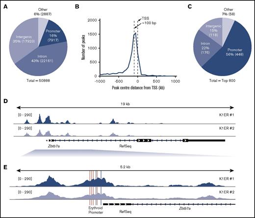 Figure 2. K1ER KLF1 ChIP-Seq analysis. (A) Distribution of all KLF1 peaks. Promoters are defined as the region from −1000 bp to +1000 bp around the transcription start site (TSS) of RefSeq genes. Peaks that fell into CDS exons 4′ and 3′ untranslated region exons and transcription termination sites (−100 bp to +1 kb) were all labeled as other. Percentages lying in each region are given, and absolute peak numbers are shown in parentheses. (B) Histogram of distance of promoter peak centers to the corresponding RefSeq TSS with 50-bp bins. (C) The top 800 KLF1 peaks within different genomic regions. (D) KLF1 enrichment across the gene body of Zbtb7a. (E) KLF1 enrichment at the promoter region of Zbtb7a, showing the conserved CACCC and GATA consensus sequences in pink and gray, respectively.