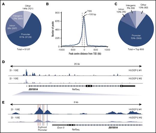 Figure 3. HUDEP-2 KLF1 ChIP-Seq analysis. (A) Distribution of all KLF1 peaks. Promoters are defined as the region from −1000 bp to +1000 bp around the TSS of RefSeq genes. Peaks that fell into CDS exons 4′ and 3′ UTR exons and transcription termination sites (−100 bp to +1 kb) were all labeled as other. Percentages lying in each region are given, and absolute peak numbers are shown in parentheses. (B) Histogram of distance of promoter peak centers to the corresponding RefSeq TSS with 50-bp bins. (C) The top 800 KLF1 peaks within different genomic regions. (D) KLF1 enrichment across the gene body of ZBTB7A. (E) KLF1 enrichment at the promoter region of ZBTB7A, showing the conserved CACCC and GATA consensus sequences in pink and gray, respectively, as well as the placement of exon 0 in gray.