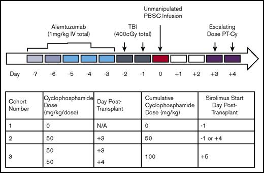 Figure 1. Conditioning regimen. All patients received alemtuzumab, 400 cGy TBI, and sirolimus. Cohort 1 patients received no PT-Cy, cohort 2 patients received 50 mg/kg PT-Cy, and cohort 3 patients received 100 mg/kg PT-Cy. Sirolimus target level was 10 to 15 ng/dL. Sirolimus was started 1 day before PBSC infusion in patients 4 through 9 and 4 days posttransplant in patients 10 and 11. IV, intravenous; N/A, not applicable.