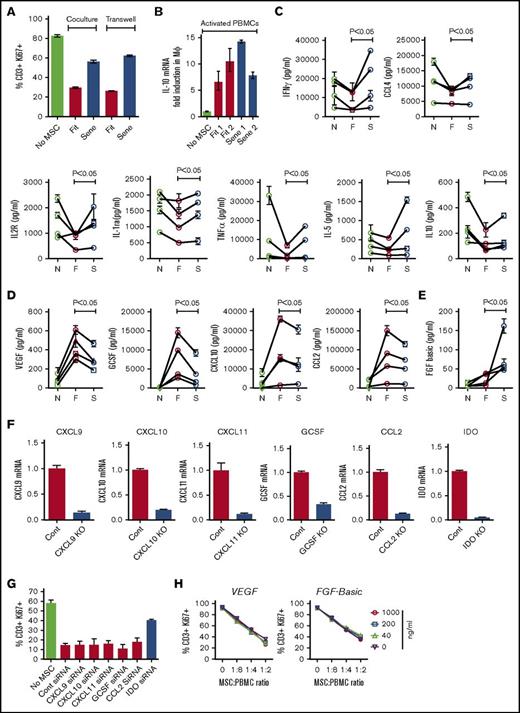 Figure 4. Differential secretome of activated PBMCs cocultured with fit and senescent MSCs. Replicative fit and senescent MSCs were cultured in the presence and absence of αCD3αCD28 Dynabeads-stimulated PBMCs in 2-chamber transwell plates. Four days post culture, T-cell proliferation was measured by Ki67 intracellular staining. (A) Relative effect of fit and senescent MSCs’ effect on T-cell proliferation (% CD3+Ki67+) in coculture and transwell culture are shown. Similar results were obtained in a repeat experiment with an additional 2 fit and senescent MSC donor pairs. (B) CD14+ purified macrophages were cultured on transwell and in the bottom PBMCs were activated with 2 independent fit or senescent MSC pairs. 48 hours later, macrophages in the transwell were harvested and IL-10 mRNA was measured with GAPDH mRNA as endogenous housekeeping control. Fold induction of IL-10 mRNA was derived through δ-δ CT method. Replicative fit and senescent MSCs were cultured in the presence and absence of αCD3αCD28 Dynabeads-stimulated PBMCs. Four days post culture, supernatant was collected and human cytokine 30-plex panel Luminex assays were performed according to the manufacturer’s instructions. Fit and senescent MSC pairs from 4 independent donors were tested against different PBMC donors. Cytokine levels were shown in pg/mL. F, fit MSCs and activated PBMCs; N, no MSCs and activated PBMCs; S, senescent MSCs and activated PBMCs. (C) IL-1ra, IFNγ, IL-2r, CCL4, TNFα, IL-5, and IL-10 were decreased efficiently by fit but not senescent MSCs. (D) VEGF, GCSF, CXCL10, and CCL2 were upregulated by fit MSCs cocultured with activated PBMCs and the senescent MSCs display attenuated upregulation. (E) FGF-basic was substantially increased by senescent MSCs compared with fit MSCs. (F) Control, CXCL9, CXCL10, CXCL11, GCSF, CCL2, and IDO siRNA-transfected MSCs were cultured with αCD3αCD28 Dynabeads-stimulated PBMCs in 2-chamber transwell plates for 3 to 4 days. Expression level of appropriate silenced mRNA relative to GAPDH was evaluated by quantitative SYBR green real-time PCR. δ-δ CT method was applied to calculate the fold induction of silenced gene over the control siRNA-transfected MSCs. (G) CXCL9, CXCL10, CXCL11, GCSF, CCL2, IDO, and control siRNA-transfected MSCs were cultured with αCD3αCD28 Dynabeads-stimulated PBMCs. Four days post culture, T-cell proliferation was measured by Ki67 intracellular staining. Proliferation of T cells (CD3+Ki67+) in the presence and absence of siRNA transfected MSCs is shown. Similar results were obtained in a repeat experiment with an additional independent MSC donor. (H) VEGF and FGF were added exogenously to fit MSCs cocultured with activated PBMCs at indicated ratios. Four days later, CD3+ T-cell proliferation was measured by Ki67 intracellular staining. Similar results were obtained in a repeat experiment with an additional independent MSC donor.