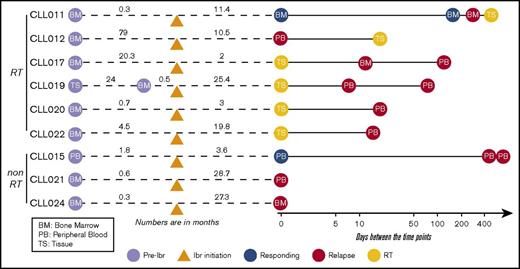 Figure 1. Partially scaled schematic diagram. The line diagrams summarize sample collection for each of the 9 patients (6 with RT and 3 without RT), with reference to ibrutinib (ibr) initiation (orange triangle). The samples to the left of ibr initiation represent the preibrutinib (pre-ibr) time points. The solid line to the right is log scaled. Types of sample are noted. Supplemental Table 2 provides more details about the samples.