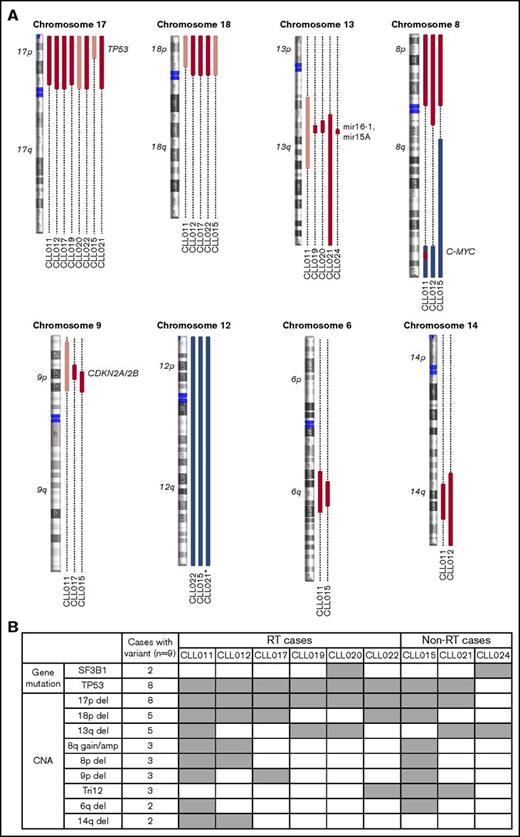 Figure 2. Recurrent abnormalities detected in patients before ibrutinib initiation. (A) Recurring CNAs. Short and long arms of chromosomes are labeled, and centromeres are highlighted. Red bars represent single-copy loss, light red bars represent mosaic loss (SmoothSignal log2 ≥ 1.5), dark red bars represent homozygous loss, and blue bars represent gains. (B) Heatmap summarizing recurrent abnormalities in all 9 patients. Gray box indicates positive finding. *CLL021 shows complex structural abnormalities of chromosome 12 with concomitant whole-chromosome gain. Amp, amplification.