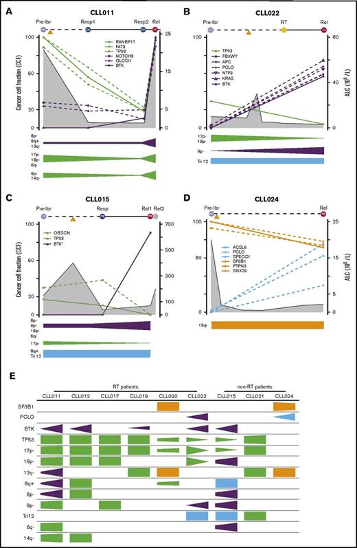 Figure 5. Evolutionary dynamics of the major clones during ibrutinib (ibr) relapse. Clonal trends in selected patients with CLL (supplemental Figure 2 provides details for additional patients). (A-D) Detailed trends for 2 patients with RT (A-B) and 2 without RT (C-D). Samples being analyzed are shown at the top of the plots. Time on the x-axis is partially scaled, consistent with Figure 1. Clonal frequencies are shown on the left y-axis, and absolute lymphocyte count (ALC) values are shown on the right y-axis (gray shaded curves). Mutations that clustered in the same trends are shown in the same colors (green, TP53 clusters; purple, BTK clusters; orange, SF3B1 clusters; and Blue, other clusters). The clonal trends of the copy-number changes are shown below each plot using the same color scheme. (E) Semiquantitative heatmap summarizing clonal trends for all 9 patients; x-axis for each box shows lapse of time. *Minor clones present but not depicted. Rel, relapse; Resp, response.