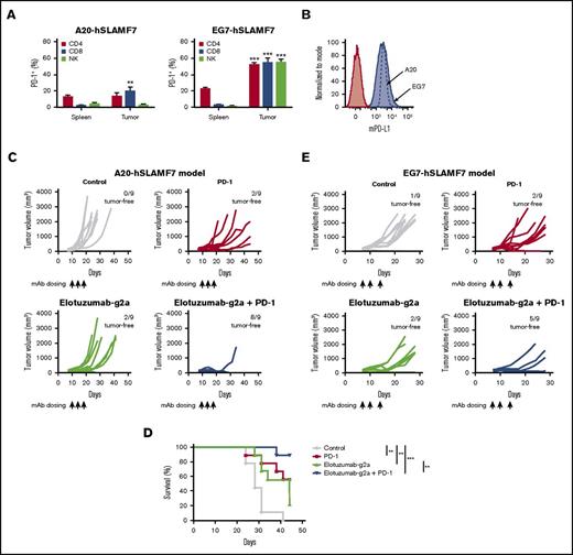 Figure 3. Elotuzumab-g2a and anti–PD-1 mAbs show synergistic antitumor activity. (A) Splenocytes and tumor-infiltrating lymphocytes from A20-hSLAMF7– or EG7-hSLAMF7–bearing mice were harvested. The proportion of splenic or tumor-infiltrating CD4+CD3+, CD8+CD3+, or NKp46+CD3− cells that expressed PD-1 was quantified. Results are a composite of 3 independent experiments with a total of 5 to 22 mice per group; error bars show SEM. Frequencies of tumor-infiltrating vs splenic PD-1+ cells were compared by using the paired Student t test. (B) A20-hSLAMF7 and EG7-hSLAMF7 cells prior to implantation were stained with either isotype control (filled red histogram) or anti-mouse PD-L1 (mPD-L1; blue histogram). A flow cytometry histogram representative of PD-L1 expression is shown. (C-D) A20-hSLAMF7–bearing mice were randomized to different treatment groups on day 10 when their tumors reached an average size of 157 ± 63 mm3 and were treated with 10 mg/kg elotuzumab-g2a or control mIgG2a and/or 3 mg/kg anti–PD-1 injected intraperitoneally on days 10, 14, and 17. Tumor volumes for individual mice (C) and percent survival (D) are shown. n = 9 per group. Differences between survival curves were analyzed by using the Mantel-Cox test. (E) EG7-hSLAMF7–bearing mice were randomized to different treatment groups on day 7 when their tumors reached an average size of 120 ± 51 mm3 and were treated with 10 mg/kg elotuzumab-g2a or control mIgG2a and/or 10 mg/kg anti–PD-1 injected intraperitoneally on days 7, 10, and 14. Tumor volumes for individual mice and the number of tumor-free mice per group are shown. n = 9 per group. **P < .01; ***P < .0001.
