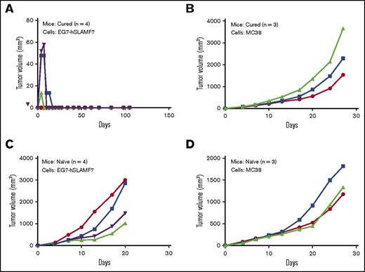 Figure 4. Long-term surviving mice treated with the elotuzumab-g2a/anti–PD-1 combination are protected against subsequent tumor rechallenge. (A-B) At day 88 after initial EG7-hSLAMF7 inoculation, a cohort of long-term surviving mice originally treated with 3 doses of the elotuzumab-g2a/PD-1 combination were rechallenged with either EG7-hSLAMF7 (A) or MC38 (B) cells. (C-D) Naive C57BL/6 mice were implanted with the same tumor cells to confirm tumor growth. Groups contained 3 to 4 mice and are from a single experiment. Symbols represent individual data points from individual mice.