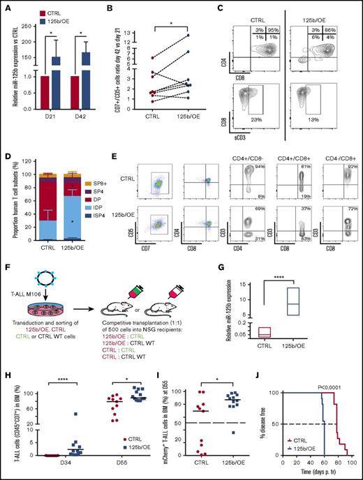 Figure 5. Ectopic expression of miR-125b in HPCs mimics the effects of TLX3 on T-cell differentiation. Sorted human HPCs were transduced with either miR-125b/OE or CTRL mCherry-traceable vectors. T-cell differentiation was followed as described in Figure 4A. (A) Relative miR-125b expression at days 21 (N = 3) and 42 (N = 5) in miR-125b/OE cells compared with CTRL cells. *P < .05, Mann-Whitney U test. (B) miR-125b/OE enhances T-cell growth. Cumulative T-cell numbers at day 42 compared with day 21 of culture for miR-125b/OE and CTRL cells (n = 8). *P < .05, Wilcoxon test. (C) miR-125b/OE induces accumulation of immature DN cells and blocks sCD3 acquisition by DP cells. Shown are the data from the representative experiment at day 42. Proportions of T-cell fractions are relative to gated mCherry+/CD7+/CD5+ T cells. (D-E) Human T-cell development in mouse xenograft model. Sorted human HPCs were transduced with either miR-125b/OE or CTRL mCherry-traceable vectors and IV injected into NSG recipients. Mice were sacrificed at day 90 posttransplantation. (D) Proportion of ISP4, IDP, DP, SP4, and SP8 populations recovered from total thymi was estimated within the mCherry+/CD7+/CD5+ compartment (n = 3). *P < .05, multiple Student t test. (E) Shown are the representative plots; 1 mouse per group. Proportions are given relative to gated CD4+/CD8−; CD4+/CD8+ and CD4+/CD8+ fractions. (F) Flowchart of leukemia competitive transplantation experiments. Sorted T-ALL (M106) infected cells (mCherry+) expressing or not miR-125b were mixed at a 1:1 ratio with sorted control (eGFP+) or sorted wild-type (WT) cell populations and 500 cells were transplanted into NSG recipients. The hosts were monitored for T-ALL development by BM analysis. (G) Relative miR-125 expression (R-Q-PCR), normalized to RNU44 (2−∆Ct), in M106 T-ALL blasts yielded from BM of recipient mice at sacrifice (n = 4 for CTRL; n = 3 for 125b/OE). (H) T-ALL cell expansion in periphery assessed by CD45+/CD7+ cells in BM at 2 time points. The percentage of CD45+/CD7+ cells was measured gating on live cells. (I) Percentage of (mCherry+) CD45+/CD7+ T-ALL cells in BM was measured at day 55. The dashed line indicates the percentage of mCherry+ cells (50%) at the day of injection. (H-I) CTRL (n = 11); 125b/OE (n = 12). (J) Kaplan-Meier survival plot depicting accelerated leukemia onset in the mouse recipients with ectopic expression of miR-125b. Death points of the recipients were recorded when found dead or moribund. The dashed line indicates median survival time. Data: (G-I) ****P < .0001; *P < .05, Mann-Whitney U test; (J) Mantel-Cox test.
