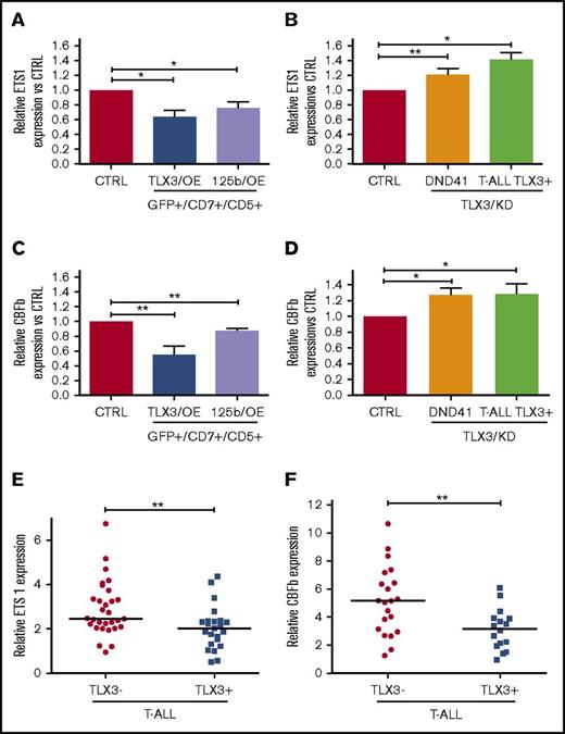 Figure 6. miR-125b regulates ETS1 and CBFβ genes critical for T-cell differentiation. (A-D) ETS1 and CBFβ expression negatively correlates with TLX3 and miR-125b expression in T-ALLs and T-cell progenitors. (A) Relative ETS1 messenger RNA (mRNA) levels in TLX3/OE (n = 6) and miR-125b/OE (n = 7) HPC-derived T cells at day 42 of culture. (B) Relative ETS1 mRNA levels in TLX3/KD DND41 cell line (n = 19) and primary T-ALL TLX3+ (n = 3). (C) Relative CBFβ mRNA levels in TLX3/OE (n = 3) and miR-125b/OE (n = 7) HPC-derived T cells at day 42 of culture. (D) Relative CBFβ mRNA levels in TLX3/KD DND41 cell line (n = 4) and primary T-ALL TLX3+ (n = 5). (E-F) ETS1 (E) and CBFβ (F) levels in TLX3− compared with TLX3+ T-ALLs (respectively, n = 30 vs n = 20 for ETS1 and n = 21 vs n = 16 for CBFβ). Shown are relative mRNA expressions normalized to ABL housekeeping gene (2−∆Ct). (A-F) Data are presented as mean ± SEM of values. *P < .05; **P < .01, Mann-Whitney U test.