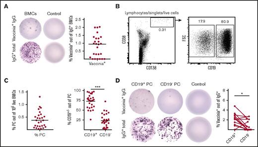 Figure 1. Plasma cells in human bone marrow. (A) Vaccinia-specific IgG-secreting cells (top) and total IgG-secreting cells (bottom) of total BM mononuclear cells compared with control are shown (50 000 cells per well were seeded). The cells are from the same patient. The plot shows the frequency of vaccinia-specific IgG-secreting cells among total BM mononuclear cells of all patients examined (n = 26). (B) Gating strategy to sort plasma cells into CD19+ (left) and CD19– populations (right). (C) The percentage of plasma cells of 100 000 live BM mononuclear cells (left) and the percentage of CD19+ and CD19– plasma cells of total plasma cells (right), gated as in panel B, are shown (n = 27). (D) CD19+ and CD19– plasma cells secreting vaccinia-specific antibodies (top) with matching wells showing the secretion of total IgG (bottom). All wells are from the same patient and 5000 cells of each type were seeded. The plot shows paired CD19+ and CD19– vaccinia-specific IgG+ plasma cells from the same patient (n = 19). *P < .05; **P < .01; ***P < .001.