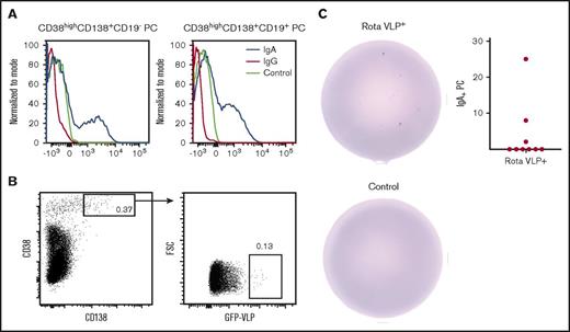 Figure 2. Surface IgA expression is maintained on plasma cells. (A) Surface expression of IgA and IgG on CD19+ and CD19– plasma cells from BM. Control is isotype control. (B) The gating strategy for sorting rotavirus-specific plasma cells. (C) Sorted rotavirus-specific cells secrete rotavirus-specific IgA (top) compared with control (bottom) (200 rotavirus-specific cells were seeded). The graph depicts the frequency of IgA+ rotavirus-specific plasma cells of total plasma cells (n = 9).