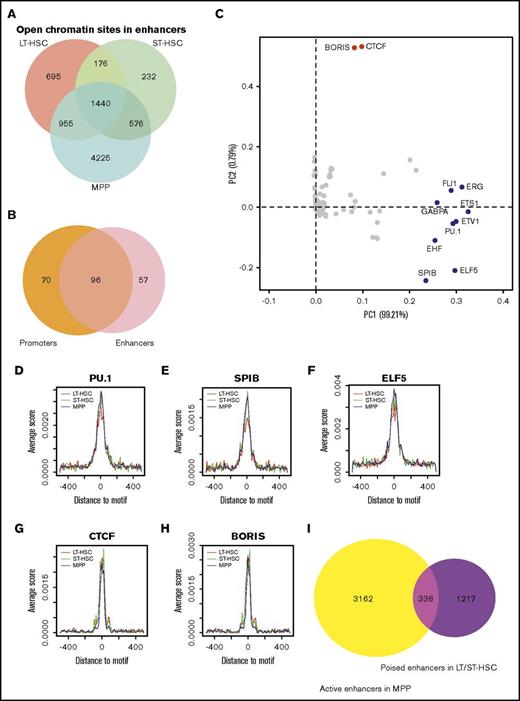 Figure 4. Enrichment of DNA cis-elements in enhancers that display an open chromatin configuration in hematopoietic cells. (A) The overlap of enhancers displaying an open chromatin state in LT-HSCs, ST-HSCs, and MPPs. (B) The overlap of enriched transcription factor–binding motifs found in both promoters and enhancers that display an open chromatin state in our ATAC-seq analysis. (C) PCA for the enriched DNA motifs in open enhancers within the 3 cell types. The first 2 components account for 99.21% and 0.79% of the total variance in the dataset, respectively. Dots represent the PCA loadings for the 153 transcription factors. The different colored dots represent 3 different cohorts. (D-H) Metaplot of ATAC-seq signal around the flanking 1 kb of PU.1, SPIB, ELF5, CCCTC-binding factor (CTCF), and BORIS binding motifs. (I) Venn diagram showing the overlap of poised enhancers in LT-HSCs and ST-HSCs and active enhancers in MPPs.