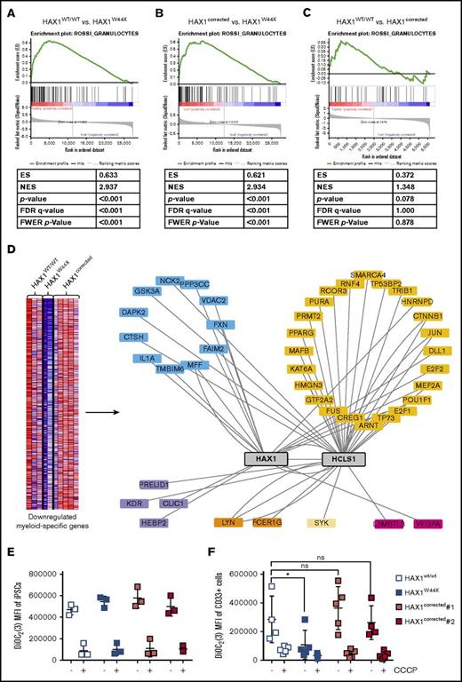 Figure 4. Expression profiling of iPSC-derived CD33+ myeloid progenitors identified a downregulated genetic interaction network in Kostmann disease. The granulocyte-specific gene set is positively enriched in (A) HAX1WT/WT and (B) HAX1corrected myeloid progenitors compared with HAX1W44X cells. (C) When comparing HAX1WT/WT and HAX1corrected cells, no significant enrichment could be observed, suggesting that those groups show similar granulocytic expression patterns. ES, enrichment score, FDR, false discovery rate; FWER, family-wise error rate; NES, normalized enrichment score. (D) Heatmap (left) of the 533 myeloid-specific genes (leading edge subsets) that were downregulated in HAX1W44X-iPSC–derived myeloid progenitors as compared with HAX1WT/WT- and HAX1corrected-iPSC–derived cells. Those were used to form a gene interaction network (supplemental Figure 9B). The downregulated gene interaction partners of HAX1 and HCLS1 in HAX1W44X-iPSC–derived CD33+ granulocytic progenitors are shown (right). (E-F) 3,3′-diethyloxacarbocyanine iodide (DiOC2(3)) mean fluorescence intensity (MFI) of (E) TRA-1-60+ iPSCs and (F) CD33+ cells during induced myeloid differentiation with or without addition of mitochondrial membrane potential disruptor carbonyl cyanide 3-chlorophenylhydrazone (CCCP). Mean ± SD of n = 4-5 experiments are shown. NS, not significant. *P < .05 when compared with HAX1wt/wt.