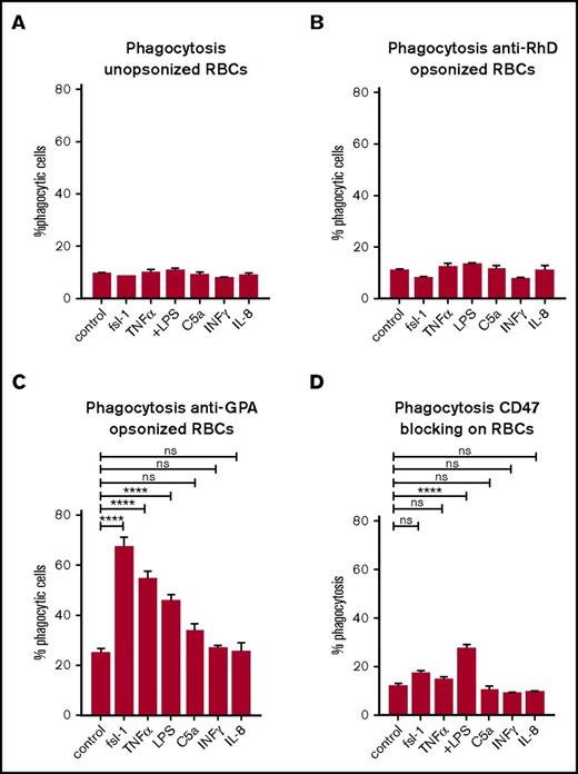 Figure 7. Neutrophil priming enhances erythrophagocytosis. (A-C) Stimulation of human neutrophils isolated from the blood. Stimuli can enhance phagocytosis of anti-GPA-opsonized RBCs but not of unopsonized RBCs or anti-RhD-opsonized RBCs. (D) CD47 blocking combined with neutrophil priming using LPS enhances phagocytosis by neutrophils. Other stimuli do not have this effect. Error bars denote the standard error of the mean. Asterisks represent highly significant differences (****P < .0001). INF, interferon.