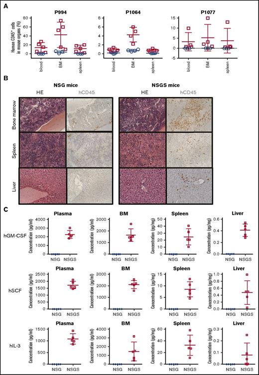 Figure 2. Characterization of cells that engrafted in NSG and NSGS mice. (A) The fraction of human CD45+ (hCD45+) cells was measured by flow cytometry in blood, BM, and spleen of NSG (empty blue circles) and NSGS (empty red squares) mice engrafted with indicated CMML samples and euthanized 12 to 16 weeks after transplantation. (B) Hematoxylin and eosin (HE) staining and immunohistochemical analysis of hCD45+ cells on the BM, spleen, and liver of NSG (left panels) or NSGS (right panels) mice engrafted with CMML CD34+ cells sorted from S994. Original magnification ×200. (C) Concentration of human GM-CSF (hGM-CSF), SCF (hSCF), and IL-3 (hIL-s) detected in the plasma, BM, spleen, and liver of NSG (empty blue circles) and NSGS (empty red squares) mice.