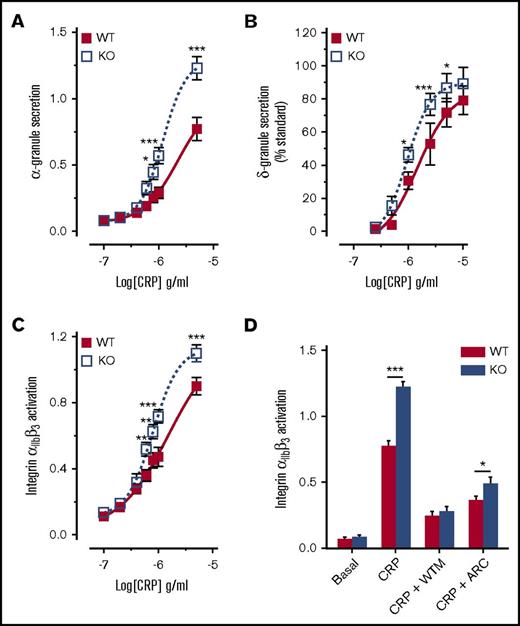Figure 6. Platelets from DAPP1−/− mice are hyperresponsive to GPVI stimulation. (A) FACS analysis of P-selectin exposure on WT and DAPP1−/− (KO) mouse platelets in response to CRP (10 min). n = 9 + standard error of the mean. (B) ATP release by WT and DAPP1−/− mouse platelets in response to CRP. Data are expressed as peak ATP release as a percentage of a standard. n = 5 + standard error of the mean. (C) FACS analysis of integrin αIIbβ3 activation on WT and DAPP1−/− mouse platelets in response to CRP (10 min). n = 9 + standard error of the mean. (D) Integrin αIIbβ3 activation on WT and DAPP1−/− mouse platelets in response to CRP (5 µg/mL, 10 min) after preincubation for 10 minutes with either vehicle, WTM (100 nM), or AR-C66069 (ARC, 1 μM). FACS fluorescence intensities (A, C-D) were normalized to the response to maximal agonist concentration averaged per mouse pair (WT and DAPP1 KO) to preserve sample variance at the maximal concentration. Statistical analyses were performed by using 2-way analysis of variance with Bonferroni post-tests. *P < .05; **P < .001; ***P < .0001.
