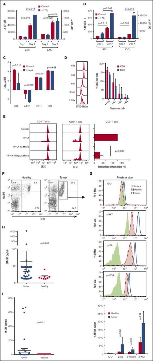Figure 5. Induction of licensing markers in human monocytes by GM-CSF in vitro and ex vivo from tumor patients. (A) p-S6 and p-AKT expression detected by flow cytometry in fresh (day 1) and GM-CSF–cultured (day 7) human monocytes with or without IFN-γ stimulation. Background-subtracted MFI of p-S6 and p-AKT expression in fresh and GM-CSF–cultured human monocytes with or without IFN-γ stimulation (n = 3; mean ± SD). (B) IRF1 and IDO expression detected by flow cytometry in fresh (day 1) and cultured (day 7) human monocytes with or without IFN-γ stimulation. Background-subtracted MFI of IRF1 and IDO expression in fresh and cultured human monocytes with or without IFN-γ stimulation (n = 3; mean ± SD). (C) Effect of 10 ng/mL rapamycin over 7 days of culture on expression of p-S6, p-AKT, IRF1, and IDO in human monocytes (n = 3; mean ± SD). (D) Freshly isolated human CD14+ monocytes or monocytes cultured for 1 to 3 days in GM-CSF were added to phytohemagglutinin (PHA)-stimulated allogeneic human CD3+ T cells at a ratio 1:1 ratio for 4 days before determining CFSE dilution by FACS analysis and its quantification of T-cell suppression for human CD4+ and CD8+ T cells (human n = 6, statistics by ANOVA with multiple comparisons, *P < .05, ***P < .005). (E) Rapamycin (rapa)-treated human L-Mono were less effective than untreated L-Mono in suppressing PHA-stimulated proliferation of allogeneic human T cells in 1:1 direct cocultures (n = 3; mean ± SD). (F) Example dot plots of peripheral blood mononuclear cells from healthy individuals or tumor patients were stained for HLA-DR and CD14 to identify CD14+ HLA-DRlow M-MDSC (gate) by FACS analysis. (G) Cells gated as in panel F of healthy individuals or tumor patients were further costained for intracellular isotype controls, IDO, p-AKT, p-S6, or p-mTOR. FACS histograms represent examples of the indicated staining. The bar graph summarizes MFI values of the indicated markers with background-subtracted ΔMFI values from healthy (n = 4) or tumor patients (n = 5) and evaluated by unpaired Student t test. (H) Serum samples of (n = 51) tumor patients or (n = 9) healthy donors were analyzed for their GM-CSF (Mann-Whitney U test, mean ± SEM) or (I) for their M-CSF content from (n = 38) tumor patients or (n = 7) healthy donors (Mann-Whitney U test, mean ± SEM). Tumor patients analyzed in panels F and G were different from patients analyzed in panels H and I.