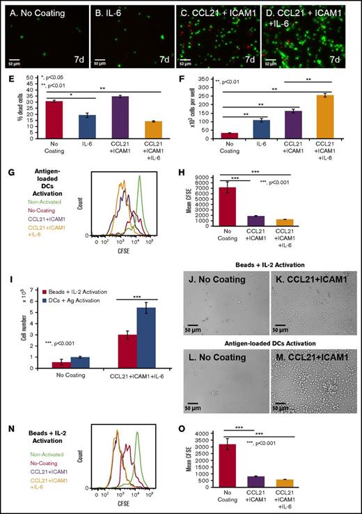 Figure 7. Coating with CCL21+ICAM1 increases T-cell proliferation following antigen-specific and nonspecific activation, whereas IL-6 increases cell survival. (A-D) Representative images of OT-II T cells expressing ubiquitin-green fluorescent protein (green) grown in the different indicated conditions for 7 days, after the breaking down of the clusters, and their spin-down. Dead cell nuclei are stained in red. Scale bars, 50 μm. (E-F) Bar graphs illustrating the percentage of dead cells (E) and the number of viable cells (F), as quantified using automated image analysis (number of T cells seeded per well: 12 × 103; data are representative of at least 3 independent experiments with 5 replicates (wells) and 20 fields of view in each well (see supplemental Figure 3 for summary of all independent expansion tests). Error bars represent standard error of the mean. IL-6 decreased the percentage of dead cells by approximately twofold on both coated and uncoated surfaces (E). IL-6 increased live cell numbers by 7.7-fold when combined with the CCL21+ICAM1 coating. CCL21+ICAM1 coating with no IL-6 increased cell numbers by 4.9-fold compared with the uncoated surface (F). (G-H) Histogram and bar graph illustrating the increase in cell proliferation induced by CCL21+ICAM1 with or without IL-6 following antigen-specific activation, as measured by CFSE dilution (data are representative of at least 3 independent experiments with 3 replicates each; error bars represent standard error of the mean). Color code in panel G: green, nonactivated T cells; red, T cells activated without coating; purple, T cells activated on CCL21+ICAM1 coating; orange, T cells activated on CCL21+ICAM1 coating with IL-6. (I) Bar graph illustrating live cell number, measured using a metabolic cell viability assay (data are representative of at least 3 independent experiments with 4 replicates each; error bars represent standard error of the mean) of T cells activated with either antigen-loaded DCs or activation beads, with or without CCL21+ICAM1 coating. Number of T cells seeded per well was 60 × 103. CCL21+ICAM1 increases T-cell yield in both activation methods. (J-M) Representative images demonstrating higher cell densities in cultures with CCL21+ICAM1 compared with no coating, activated with either activation beads (J-K) or antigen-loaded DCs (L-M). Scale bars, 50 μm. (N-O) Histogram and bar graph illustrating the increase in cell proliferation induced by CCL21+ICAM1 with and without IL-6, following activation with beads, as measured by CFSE dilution (data are representative of at least 3 independent experiments with 3 replicates each; error bars represent standard error of the mean). Color code in panel N is the same as that described in panel G. Calculated P values in E-F, H-I, and O (using t test) are as indicated in the figures.