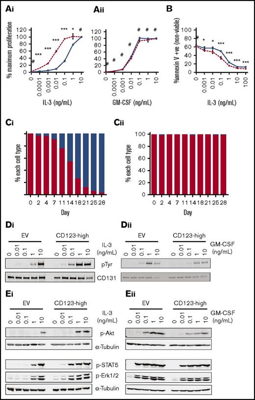 Figure 1. Increased expression of CD123 is associated with enhanced proliferation and IL-3R signaling in response to low concentrations of IL-3. TF-1.8 CD123-low (EV) or CD123-high-WT cells were starved of cytokine for 16 hours. A total of 105 cells were stimulated in a titration of human IL-3 (Ai) or GM-CSF (Aii) for 48 hours. Proliferation was measured by the addition of 0.5 µCi of 3H-thymidine/well for the final 5 hours of stimulation. Data are represented as the mean counts per minute ± standard deviation and is representative of 3 experiments. (B) Cells were washed and plated out at 5 × 105 cells/mL in medium containing IL-3 as shown on graph. After 48 hours, cells were costained with annexin V and propidium iodide and analyzed by flow cytometry. The average of 2 experiments each with triplicate samples with the standard error is indicated. (C) Cells were combined in a 99:1 ratio (99% TF-1.8 parental, 1% TF-1.8 CD123-high-WT) and cultures maintained in 0.1 ng/mL of IL-3 (Ci) or GM-CSF (Cii). The relative proportion of each population was monitored by flow cytometry. (D) Cells were starved of cytokine in media containing 0.5% FBS for 16 hours and stimulated with a titration of human IL-3 (Di) or GM-CSF (Dii) for 10 minutes at 37°C. The cells were lysed and human βc was immunoprecipitated, run on sodium dodecyl sulfate-polyacrylamide gel electrophoresis and the phosphorylation of the tyrosine residues on the βc analyzed by western blotting, probing with anti-phospho-tyrosine mAb (clone 4G10). (E) Cells were starved and stimulated with IL-3 (Ei) or GM-CSF (Eii) as before. Whole cell lysates were run on sodium dodecyl sulfate-polyacrylamide gel electrophoresis and western blotted. Blots were probed with antibodies to phosphorylated STAT-5 (Tyr694), Erk1/2 (Thr202/Tyr204), and Akt (Ser473) then reprobed with α-tubulin as a loading control. Statistical analysis: #nonsignificant difference, *P < .05, **P < .01, ***P < .001. Solid blue lines/bars, CD123-low (EV or parental cells); hashed or solid red lines/bars, CD123-high-WT.