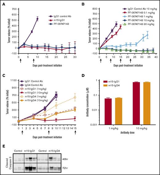 Figure 3. Efficacy of PF-06747143 and role of Fc-effector function in the Ramos NHL efficacy model. Ramos cells were implanted subcutaneously (5 × 106 cells), and when mean tumor volume reached 350 to 400 mm3, mice were randomized (n = 10-12 per group). Arrows indicate Ab treatment days. Data points represent the mean tumor volume ± SEM. (A) Animals were treated weekly, subcutaneously, with Ab’s at 10 mg/kg for 2 doses, on days 1 and 8. (B) Animals were treated weekly, subcutaneously, with control IgG1 Ab at 10 mg/kg and PF-06747143 at 0.1, 1, 10, and 30 mg/kg for 4 doses, or until day 21. (C) Animals were treated weekly, subcutaneously, with m15-IgG1 or m15-IgG4 Ab’s at 1 and 10 mg/kg for 3 doses. Study was terminated at day 15. (D) Antibody exposure was evaluated 24 hours after last dose. Serum from 3 animals per group was collected, and human IgG concentration determined by enzyme-linked immunosorbent assay. Bars points represent the mean concentration ± SEM. (E) Cleaved caspase-3 in tumor tissue collected 48 and 72 hours post–Ab treatment at 10 mg/kg was determined by western blot (n = 3 animals per group).