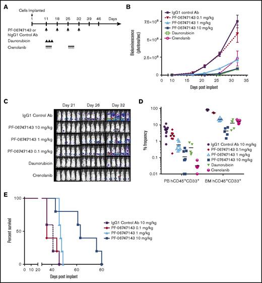 Figure 5. PF-06747143 reduces BM tumor burden in a dose-response dependent manner in a disseminated AML tumor model. MV4-11-Luc AML cells were implanted IV (1 × 106 cells) and allowed to spontaneously migrate and home in the BM for 11 days, when animals were randomized (n = 5-10 per group). (A) Treatment schematic representation. Animals were treated with IgG1 control or PF-06747143 Ab’s, subcutaneously, weekly, for 4 doses. Daunorubicin was dosed at 2 mg/kg, IV, 3 times (days 1, 3, and 5). Crenolanib was dosed at 7.5 mg/kg, IP, twice a day, on days 11 through 15 and days 25 through 29. (B) Tumor burden was determined by bioluminescence imaging and quantification. Data points represent the mean bioluminescence ± SEM. (C) Whole body bioluminescence representative imaging showing tumor burden in n = 5 mice per group over time. (D) On day 35, 3 days following the final Ab treatment, tumor burden was evaluated in PB and BM cells by flow cytometry, using hCD45 and hCD33 Ab’s as AML markers (n = 5-10 mice per group). Data points represent each individual mouse. (E) Kaplan-Meier survival curve (n = 5 animals per group), using hind leg paralysis as the end point.