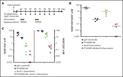 Figure 6. PF-06747143 reduces BM tumor burden in a PDX chemoresistant AML tumor model. (A) NSG mice received 150 cGy whole body irradiation, and within 24 hours, 1.5 × 106 PDX BM cells were implanted IV and allowed to spontaneously migrate and home in the BM for 43 days, when tumor burden in PB reached 0.8% to 1.6%. Animals were then randomized in 5 animals per treatment group and treated with IgG1 control or PF-06747143 Ab’s, subcutaneously, weekly, for 8 doses. Daunorubicin was dosed at 1.5 mg/kg, IV, 3 times per week, for 2 cycles. Ara-C was dosed at 15 mg/kg, IP, once per day, from days 43 through 50 and days 64 through 71. On day 99, n = 5 animals per group were euthanized, and PB and BM samples were analyzed by flow cytometry to detect CXCR4+ malignant AML cells (hCD45+ and hCD33+) (B) or total AML cells (hCD45+ and hCD33+) (C).