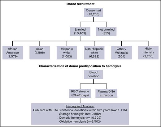Figure 1. Flowchart of the RBC-Omics study cohort and donor testing for hemolysis.