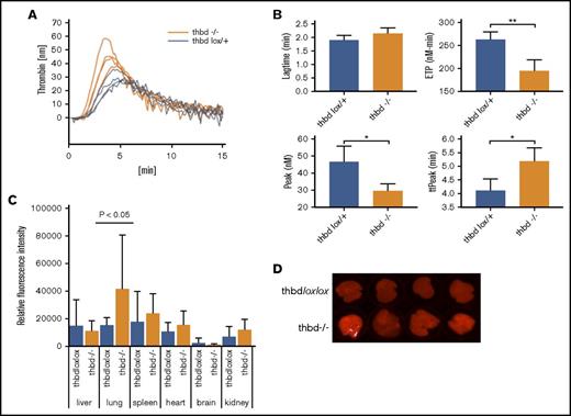 Figure 4. Thrombin generation and vascular permeability in Meox2Cre-Thbd-null mice. (A) Calibrated automated thrombinography of plasma from control mice (ThbdloxP/+, orange, n = 4) and Thbd-deficient mice (Thbd−/−; blue, n = 4). (B) Thbd-null mice displayed prolonged lag time and time to peak thrombin generation (ttPeak), reduced endogenous thrombin potential (ETP), and peak thrombin generation (Peak). (C-D) Evans blue extravasation assay showing increased vascular permeability in the lungs of Thbd-null mice compared with controls ThbdloxP/loxP; n = 5 per group). (D) Data shown in panel C were generated by quantitative scanning of fluorescence (at 720 nm) of whole-organ lung tissue.
