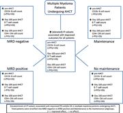 Graphical abstract for: Immune signatures associated with improved progression-free and overall survival for myeloma patients treated with AHSCT;