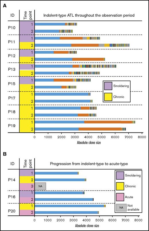 Figure 3. Clonality among patients with indolent-type ATL. Each colored bar segment represents a unique clone, and the segment width indicates the clone size. (A) Longitudinal analysis of clonality among patients with indolent types of ATL (SM and chronic ATL) who exhibited oligoclonal or monoclonal patterns. (B) Clonality among individuals with SM and chronic ATL who progressed to acute ATL over time. These samples largely exhibited monoclonal patterns.