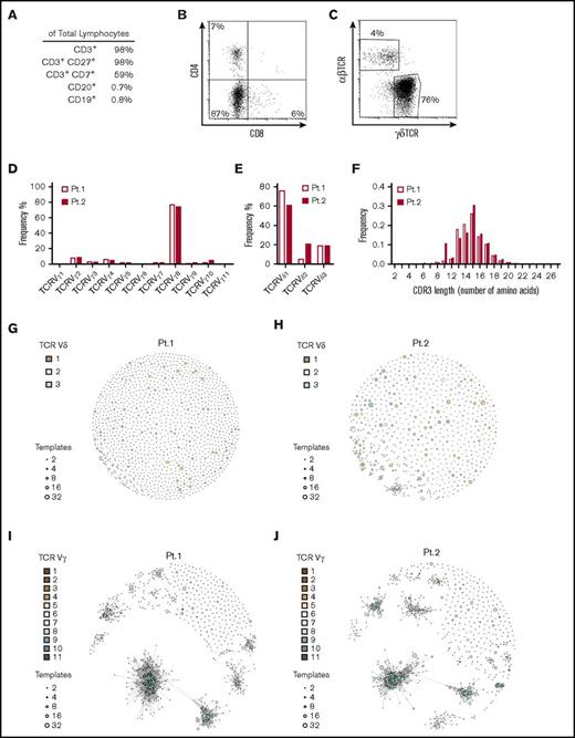 Figure 1. Lymphocytes isolated from lymph nodes express the Vγ8Vδ1-TCR. (A) Flow cytometry of cell suspension prepared from the left inguinal lymph node isolated from Pt. 1. Cell numbers are expressed as a percentage of total lymphocytes. (B) Flow cytometry on the same cell suspension but stained for CD4 and CD8 and gated on CD3+/CD45+ cells. (C) Flow cytometry analysis of γδTCR and αβTCR expression by CD3+/CD45+ cells present in the same inguinal lymph node. (D-E) Sequencing of recombined TCR genes in cells isolated from the lymph nodes from Pt. 1 (empty bars) and Pt. 2 (filled bars), showing Vγ and Vδ TCR chain usage. (F) The Vγ8 chain CDR3 length distribution in Pt. 1 (empty bars) and Pt. 2 (filled bars). (G-J) A network analysis for visualizing the sequences’ similarity, frequency, and level of homology. Each node in the network represents a sequence, and each color represents a different Vδ (G-H) or Vγ (I-J) chain. The size of each node is proportional to the frequency of the amino acid sequence. The level of homology between sequences is shown by the connecting lines.