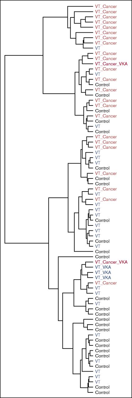 Figure 3. Unsupervised hierarchical cluster analysis of the peptide concentration levels measured by LC-MRM/MS of the 75 samples. The analysis was able to discriminate 17 of 25 patients with thrombosis and cancer. VKA, vitamin K antagonist.
