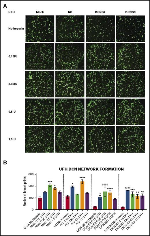 Figure 2. Treatment with all 4 concentrations of UFH restored the network-formation abilities of DCN-reduced TIME cells. The ability of TIME cells to form networks after DCN siRNA or Mock/NC was determined using the μ-Slide Angiogenesis system by IBIDI. (A) Representative image of the networks stained with calcein-AM is shown for each concentration. Images were acquired using the Olympus BX53 fluorescence microscope and represent 10× magnification to obtain the whole field. (B) The network-formation potential of TIME cells after treatment with 4 concentrations of UFH calculated by the Wimasis software. *P < .05, **P < .001, ***P < .0001, ****P < .00001 (all significant); n = 9; 1-way ANOVA. The y-axis represents the number of branch points.
