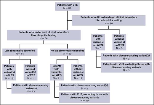 Figure 2. Summary of WES and clinical laboratory-based thrombophilia testing.