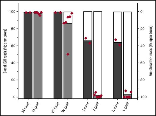 Figure 4. Neoplastic and nonneoplastic B cells within tumor specimens engraft with differing relative efficiencies. The fraction of B cells that are clonal is estimated from the fraction of IGHV sequencing reads that match the specimens’ previously determined sequence. To assess the relative engraftment of clonal and nonclonal B cells, the entire omentum (with fragments of associated organs) was harvested from mice implanted with tumors M, W, J, and L. 3 mice with each xenograft were harvested at 2 weeks. DNA was prepared from these fresh specimens. The fraction of IGHV sequence reads that were aligned to the established clonal IGHV sequence for that tumor was determined (sequencing studies were performed in duplicate for all specimens; each symbol represents the results for individual assays performed on the omentum and all associated organs from an individual mouse).