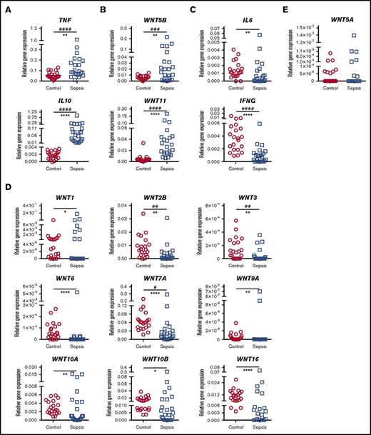 Figure 1. Differential expression of WNT ligands and cytokines in whole blood of patients with septic shock. Gene expression was determined in whole blood, using quantitative polymerase chain reaction, and is depicted for each individual. Genes are grouped according to expression patterns compared with healthy controls. (A-B) Elevated or equivalent expression in the majority of patients. (C-D) Equivalent or diminished expression in the majority of patients. (E) No discernable difference between groups. Differences in the distribution of gene expression between healthy controls and patients with septic shock were determined by unpaired nonparametric Kolmogorov-Smirnov comparison: *P < .05, **P < .01, ***P < .001, ****P < .001; and regression analysis of means: #P < .05, ##P < .01, ###P < .0001. Expression of the 7 WNT genes not depicted here was below the detection limit of the assay.