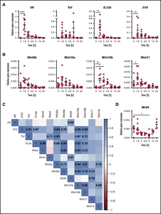 Figure 4. Differential expression of WNT ligands and inflammatory cytokines in the mouse model of acute systemic endotoxemia. Mice were injected intravenously with LPS (2 mg/kg) and gene expression determined by quantitative polymerase chain reaction in spleen tissue at the indicated time points. Transient elevation of mRNA expression for (A) inflammatory cytokines and (B) WNT ligands; (D) transient downregulation of Wnt6 mRNA expression. Relative gene expression is depicted for individual mice analyzed cumulatively in 3 independent experiments; mean ± standard error of the mean are indicated. Groups were compared by 1-way ANOVA with Sidak correction for multiple comparisons. *P < .05, **P < .01, n.s. not significant. (C) Positive correlation of WNT ligand and inflammatory cytokine expression in tissue of mice 1.5 h after LPS challenge. Proximity of the correlation coefficients to 1 (direct correlation) and −1 (inverse correlation) is highlighted according to the depicted heat map scale. Correlation coefficients for correlations that meet statistical significance (P < .05) are indicated. Expression of the 10 WNT genes not depicted in (C) was below the detection limit of the assay.