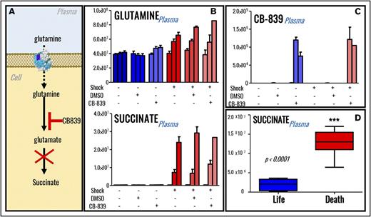 Figure 4. Inhibition of glutaminolysis does not decrease plasma succinate levels in rats (n = 5) undergoing severe HS. (A) An overview of glutamine metabolism and inhibition of glutaminase by CB839. (B) Inhibition of glutaminolysis by administration of glutaminase inhibitor CB-839 in vivo promotes accumulation of plasma glutamine but not accumulation of plasma succinate. (C) The drug could be detected through MS only in the plasma from rats receiving its administration, confirming its systemic bioavailability after the treatment. Labeling scheme in panels B and C is based on the presence (+) or absence (−) of shock, DMSO (control for vehicle to the drug CB-839), and glutaminase inhibitor. Three columns are graphed per each group, indicating baseline, postshock, and end-of-shock values. However, plasma levels of succinate significantly correlated with mortality in rats (D), and only 1 shock rat receiving glutaminase inhibitor survived (supplemental Figure 3).