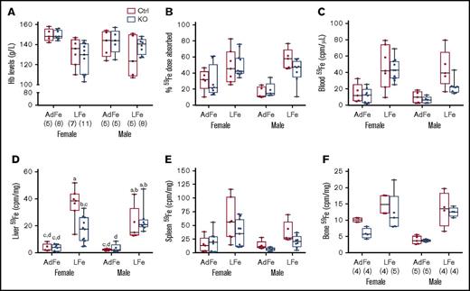 Figure 3. Intestinal Heph is not required for the enhancement of iron absorption after dietary iron restriction. Young, adult mice were placed on iron-adequate (AdFe) or low-iron (LFe) diets for 5 to 6 weeks, and then iron absorption was measured after oral gavage of 59Fe. Blood Hb levels were determined at euthanization (A). Iron absorption (percent) and tissue iron accumulation (cpm) are also shown (B-F). Data are shown as box-and-whisker plots and were analyzed by 3-way ANOVA. A significant diet main effect was noted for all measured parameters (P < .006 for all). A sex main effect was also noted for blood 59Fe levels (P = .0385). A diet × sex interaction was noted for Hb levels (P = .0311). Genotype × sex and 3-way interactions were also noted for liver 59Fe accumulation (P = .0261 for both). Because a significant 3-way interaction was noted for the latter, differences between individual groups were assessed with Tukey's HSD post-hoc test and are noted in panel D; letters atop bars indicate statistically significant differences (P < .05). The number of mice in each group is indicated in parentheses beneath panel A and is the same for data shown in all panels, unless otherwise noted. Also, note that the iron absorption data from control animals are presented in numerical form in Table 1, but all assays were done simultaneously with adults of both sexes and genotypes.