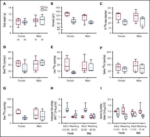 Figure 5. Intestinal iron absorption is impaired in weanling Hephint/int and Hephint/y mice. Iron absorption and tissue iron accumulation were quantified in weanling mice, by our standard protocol. Body weights at euthanization (A), blood HB (B), iron absorption (C), and tissue iron accumulation (D-G) in experimental mice are shown. Data are presented as box-and-whisker plots and were analyzed by 2-way ANOVA. No significant 2-way interactions were noted. A sex main effect was noted for Hb levels (P = .0183). Genotype main effects were noted for Hb levels (P < .0001), iron absorption (P = .0022), and liver (P = .0298) and bone (P = .0101) 59Fe accumulation. The number of mice in each group is indicated beneath panel A and is the same for data shown in panels B-G. Moreover, enterocyte FOX (H) and serum Cp (I) activities were assessed in weanling mice and also in adults. Data are shown as means ± SD and were analyzed by 3-way ANOVA. Age and genotype main effects were noted for enterocyte FOX activity, as was an age × genotype interaction (all P < .0001). For serum Cp activity, a genotype main effect (P < .0001) and an age × genotype interaction (P < .005) were noted. No significant 3-way interactions were noted for either of these parameters. Also, note that the enterocyte FOX and serum Cp data from adult animals are presented in numerical form in Table 1, but all assays were done simultaneously with adults and weanling mice of both genotypes. The number of mice in each group is shown in parentheses below panels H and I.