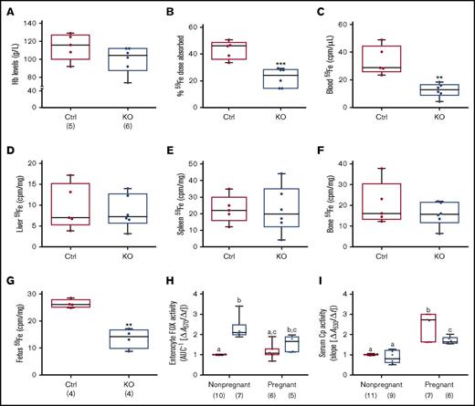 Figure 6. Intestinal Heph is necessary for optimal iron absorption and iron delivery to the developing fetuses during pregnancy. Iron absorption and utilization were assessed in pregnant mice. Nonpregnant females of a similar age were used as controls. Hb levels were measured at euthanization (A). Iron absorption (B), tissue utilization (D-F), and delivery to the fetuses (G) were also quantified. Data are presented as means ± SD and were analyzed by Student unpaired t test (**P < .01; ***P < .001). The number of mice in each group is indicated beneath panel A and is the same for all data shown in panels B-G. Moreover, enterocyte FOX (H) and serum Cp (I) activities were assessed in pregnant and nonpregnant mice. Data are presented as box-and-whisker plots and were analyzed by 2-way ANOVA. For enterocyte FOX activity, a genotype main effect (P < .0001) and a 2-way pregnancy × genotype interaction (P = .0326) were noted. For serum Cp activity, pregnancy (P < .0001) and genotype (P = .0005) main effects were noted as well as a significant 2-way pregnancy × genotype interaction (P = .0061). When significant 2-way interactions were noted, multiple pairwise comparisons were made by Tukey's HSD post-hoc test; letters atop bars indicate statistically significant differences (P < .05). Also, note that enterocyte FOX and serum Cp data from nonpregnant female animals are also presented in numerical form in Table 1, but all assays were done simultaneously in pregnant and nonpregnant mice of both genotypes. The number of mice in each group is shown in parentheses below panels H and I.