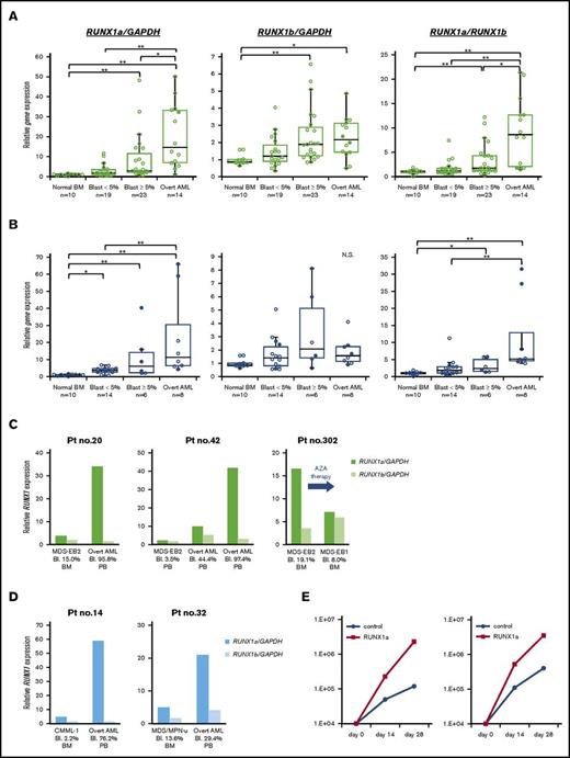 Figure 1. RUNX1a overexpression in MDS, MDS/MPN, and AML patients with a history of MDS or MDS/MPN. (A-B) RUNX1 expression levels by quantitative reverse-transcription polymerase chain reaction in CD34+ cells from patients with MDS (A) or MDS/MPN (CMML and MDS/MPN-unclassifiable) (B). Relative RUNX1a and RUNX1b expression was calculated as a ratio relative to GAPDH expression; the ratio of RUNX1a to RUNX1b expression was also calculated. RNA from normal bone marrow CD34+ cells served as a control, their RNA level being defined as unity. *P < .05; **P < .01. Closed circles show RUNX1-mutated patients. BM, bone marrow. (C-D) Change in RUNX1 expression levels over time in a single patient with MDS (C) or MDS/MPN (D). Patient (Pt) 20, 42, 14, and 32 showed disease progression, whereas patient 302, who was treated with azacitidine (AZA), showed hematological improvement. The diagnosis was based on WHO2016.19 (E) Enforced RUNX1a expression in CD34+ cells from patients. Growth patterns of the GFP-sorted cells cultured on MS5 stromal cells are shown. EB, excess blasts; N.S., not significant; PB, peripheral blood.