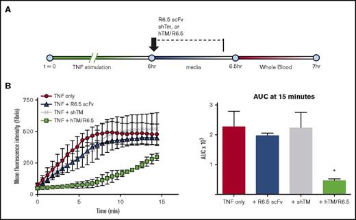 Figure 4. Both domains of hTM/R6.5 are required to generate an antithrombotic effect. (A) Experimental design. All proteins were infused in equimolar concentrations (50 nM) during the TNF washout period, followed by a 5-minute wash to remove nonspecifically bound protein. Flow of media and WB was at shear stress of 5 dynes/cm2. (B) Only hTM/R6.5 inhibited fibrin deposition, confirming that both the ICAM-1 binding and hTM domains must be present to produce an antithrombotic effect. Left panel shows MFI vs time, mean ± SEM, with n = 2 channels per condition. Right panel shows AUC analysis. *P < .05 vs all other conditions.