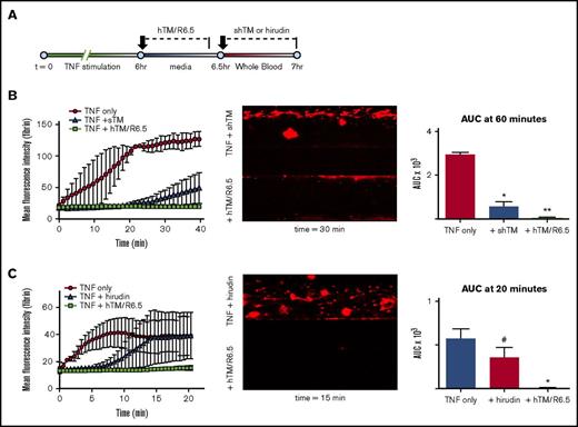 Figure 5. Comparative testing of antithrombotic agents. (A) Experimental design, showing distinct timing of treatment with hTM/R6.5 scFv, bound to ECs during the first 25 minutes of the TNF-α washout period, vs soluble agents, which were mixed into WB. (B-C) Both 100 nM shTM (B) and 5 U/mL hirudin (C) inhibited coagulation but were less effective than hTM/R6.5 (50 nM). Left panels show MFI vs time, ± SEM, with n = 2 channels for TNF-α only and n = 3 channels for each therapeutic. Middle panels show representative fluorescent images. Right panels show AUC analyses. *P < .05 vs TNF only; **P < .05 vs both other conditions; #, not significant (P = .17).