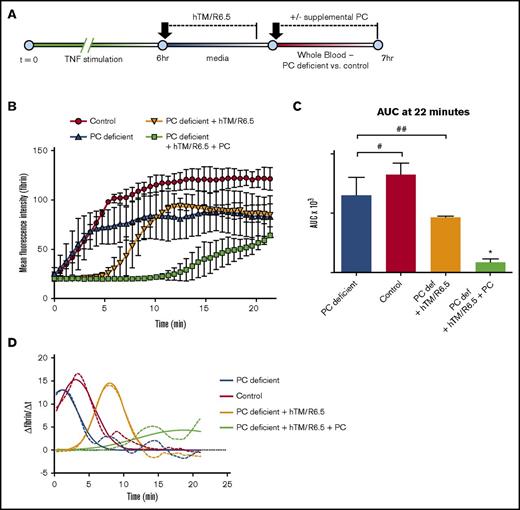 Figure 8. Antithrombotic activity of hTM/R6.5 is enhanced by PC supplementation in the setting of plasma PC deficiency. (A) Design of PC deficiency experiments. hTM/R6.5 was infused during the first 25 minutes of the TNF-α washout period, followed by infusion of PC-deficient blood vs control blood (prepared as described in Materials and methods). (B) The anti-thrombotic effect of hTM/R6.5 was reduced in PC-deficient blood and restored with the addition of supplemental PC. Graph shows mean ± SEM, with n = 2 channels for each condition. (C) AUC analysis. *P < .05 vs all other conditions; #, not significant (P = .33); ##, not significant (P = .28). (D) Time curves of the first derivative of fibrin fluorescence intensity demonstrate a delay in peak fibrin deposition but not a reduction in peak height by hTM/R6.5 in PC-deficient WB. Full efficacy is restored with the addition of supplemental plasma PC.
