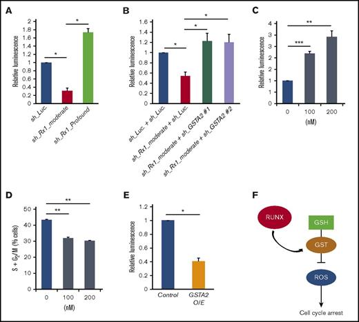 Figure 4. GSTA2-mediated intracellular ROS removal positively-affects the proliferation of AML cells. (A) Intracellular ROS content was measured by a luminometer in MV4-11 cells transduced with control (sh_Luc.) or with RUNX1 shRNAs (sh_Rx1_moderate and sh_Rx1_profound) in the presence of 3 μM of doxycycline for 48 h. Values are normalized to those of control vector-transduced cells (n = 3). (B) Intracellular ROS content was measured in MV4-11 cells transduced with lentivirus encoding shRNA targeting Luciferase (sh_Luc.) or shRNAs against GSTA2 (sh_GSTA2 1 or sh_GSTA2 2) with or without simultaneous transduction of shRNA-targeting RUNX1 (sh_Rx1_moderate) in the presence of 3 μM of doxycycline for 48 hours. Values are normalized to those of control vector-transduced cells (n = 3). (C) Intracellular ROS content was measured in MV4-11 cells treated with β-lapachone at 100 to 200 nM or DMSO for 24 h (n = 3). (D) The number of cells with S + G2/M-phase DNA content was determined in MV4-11 cells, as in panel C. Twenty-four hours after treatment, cells were harvested and subjected to flow cytometric analysis (n = 3). (E) Intracellular ROS amount was measured in MV4-11 cells transduced with lentivirus-expressing GSTA2 or control. Cells were incubated with 3 μM of doxycycline for 48 h, then harvested and subjected to flow cytometric analysis (n = 3). (F) Graphic showing the interaction of RUNX, GST, ROS, and their effect on the cell cycle progression in AML cells. RUNX modulate the expression of GSTA2 in AML cells and subsequently reduce intracellular ROS accumulations, which in turn promote the cell cycle advancement and contribute to the propagation of the disease. Data are mean ± SEM values. *P < .05, by 2-tailed Student t test; **P < .01; ***P < .001. GSH, glutathione.