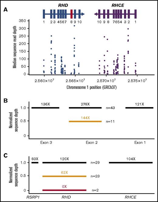 Figure 3. WES coverage for RHD and RHCE genes. (A) The median number of individual sequence reads are given for each polymorphism identified by exome sequencing. The sequence reads were aligned to the human reference sequence GRCh37, and median coverage was calculated for the entire SWiTCH cohort (n = 134). All exons (rectangles) had greater than 10× median coverage except RHD exon 8 (marked in red). (B) Normalized sequence read depth for RHCE exons 1, 2, and 3 (n = 54). Individuals with RHCE*Ce have a reduced ratio for exon 2 compared with exons 1 and 3 (orange bar). (C) Normalized sequence read depth for RHD, RHCE, and neighboring genes (n = 54). Genes with 2 copies are indicated as black bars, 1 copy as orange bars, and no copies as red bars.