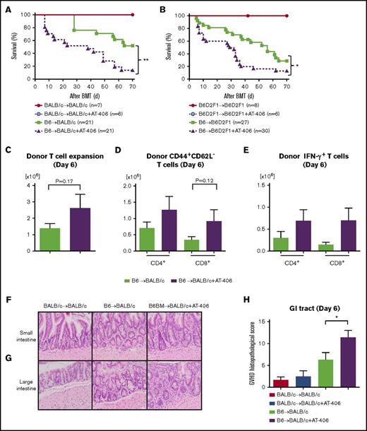 Figure 2. The IAP inhibitor AT-406, an SMAC mimetic, exacerbates GVHD. (A) Survival. BALB/c animals received 8.5 Gy on day −1 and received transplants of 0.5 × 106 CD90.2+ splenic T cells along with 5 × 106 TCD-BM cells from either syngeneic BALB/c or allogeneic MHC-mismatched B6 donors. Recipient animals received either AT-406 (10 mg/kg) or its diluent subcutaneously on days −1, +1, +3, +5, and +7 after BMT; n = 6-21 per group). Pooled data from 4 independent experiments are shown. **P < .01, when allogeneic treated and control animals are compared. (B) Survival. B6D2F1 animals received 11 Gy on day −1 and received transplants of 3 × 106 CD90.2+ splenic T cells along with 5 × 106 TCD-BM cells from either syngeneic B6D2F1 or allogeneic MHC-mismatched haploidentical B6 donors. Recipient animals received either AT-406 (10 mg/kg) or its diluent subcutaneously on days −1, +1, +3, +5, and +7 after BMT (n = 6-30 per group). Pooled data from 6 independent experiments are shown. *P < .05, when allogeneic treated and control animals are compared. (C-E) Expansion of donor T cells (H-2kb+CD4+CD8+) (C), CD44+CD62L− effector T cells (D), and IFN-γ–producing T cells (E) in the spleen on day 6 after allo-BMT (n = 4-5 per group, pooled from 2 experiments). The bar shows the mean ± SEM. (F-H) The representative figures of small (F) and large intestines (G) (original magnification ×200; hematoxylin and eosin stain) and GVHD histopathological score of GI tract (small and large intestines) (H) on day 6 after allo-BMT (n = 6-10 per group, pooled from 3 experiments). *P < .05. The bar shows the mean ± SEM.