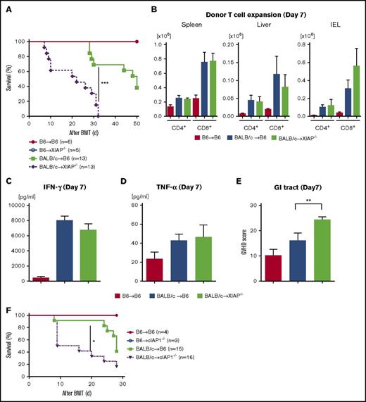 Figure 4. Absence of IAPs in host exacerbates GVHD in allo-BMT. B6-WT and B6-XIAP−/− animals received 10 Gy on day −1 and received transplants of 3 × 106 CD90.2+ splenic T cells along with 5 × 106 TCD-BM cells from either syngeneic B6 or allogeneic MHC-mismatched BALB/c donors. (A) Survival (n = 5-13 per group). Pooled data from 3 independent experiments are shown. ***P < .001, when allogeneic WT control and allogeneic XIAP−/− animals are compared. (B) Donor T-cell (H-2kd+CD4+ or H-2kd+CD8+) expansion in spleen, liver, and intraepithelial cells (IECs) on day 7 after allo-BMT (n = 4-6 per group, pooled from 2 experiments). The bar shows the mean ± SEM. (C-D) Serum levels of IFN-γ (C) and TNF-α (D) on day 7 after allo-BMT (n = 4-6 per group, pooled from 2 experiments). *P < .05. The bar shows the mean ± SEM. (E) The histopathological GVHD score in GI tract (small and large intestines) on day 7 after allo-BMT (n = 4-6 per group, pooled from 2 experiments). **P < .01. The bar shows the mean ± SEM. (F) Survival. B6-WT and B6-cIAP1−/− animals received 10 Gy on day −1 and received transplants of 3 × 106 CD90.2+ splenic T cells along with 5 × 106 TCD-BM cells from either syngeneic B6 or allogeneic MHC-mismatched BALB/c donors (n = 3-16 per group). Pooled data from 3 independent experiments are shown. *P < .05, when allogeneic WT control and allogeneic cIAP1−/− animals are compared.